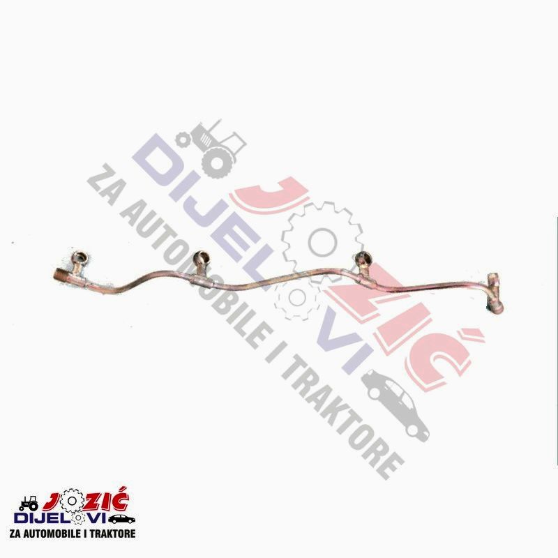 Daisy on the Ohoopee